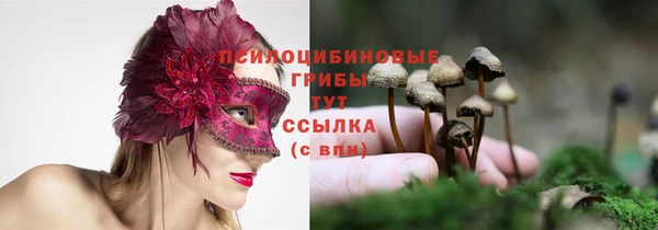 синтетический гашиш Ельня