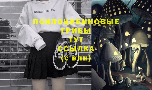 не бодяженный Елизово