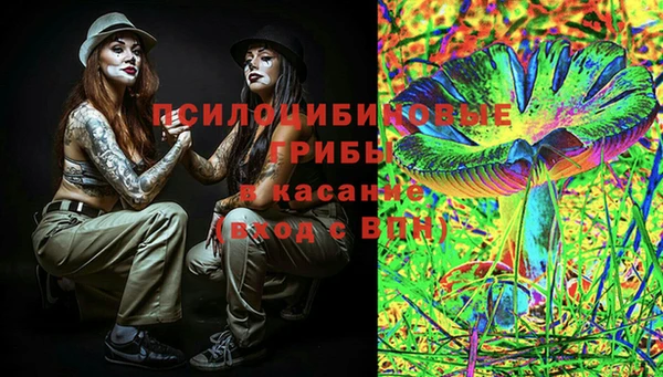 синтетический гашиш Ельня