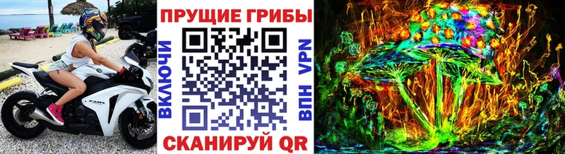 цены наркотик  Хабаровск  Галлюциногенные грибы прущие грибы 
